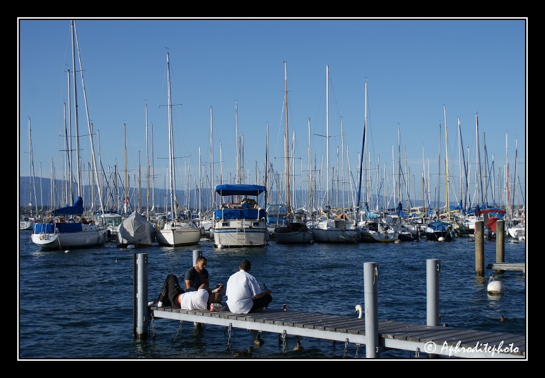 093 Le port des Eaux Vives